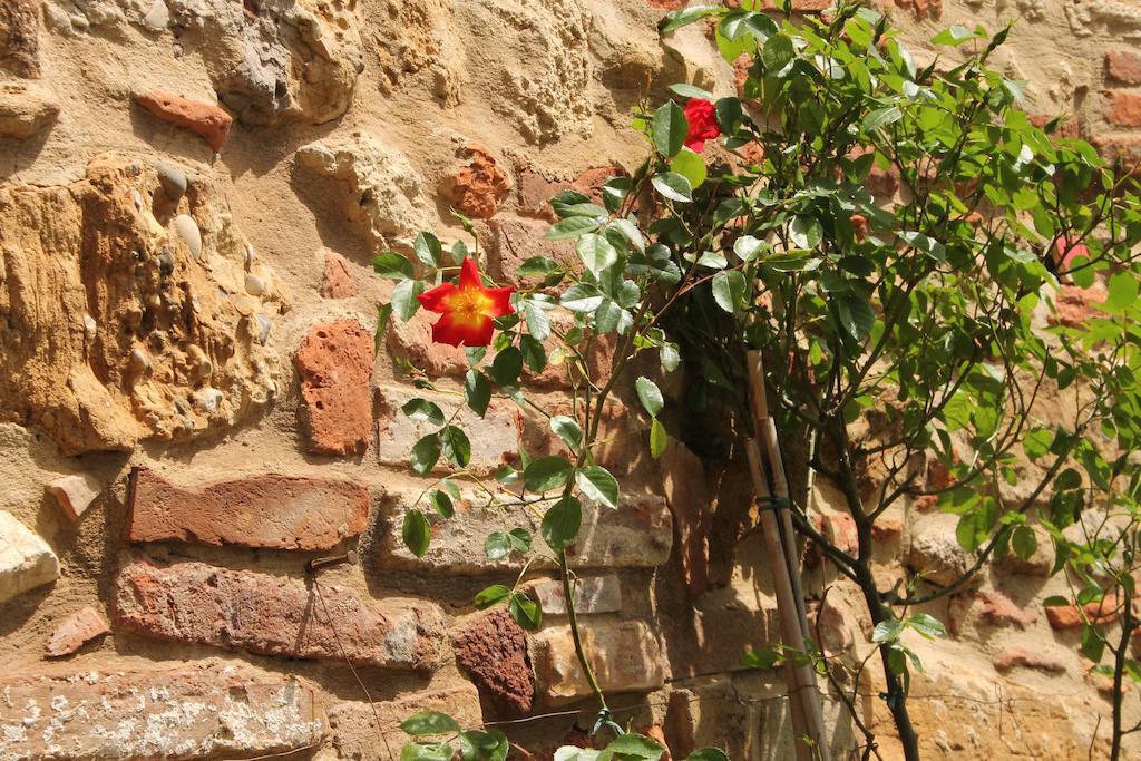 La Corte Segreta Montepulciano Stazione Eksteriør billede